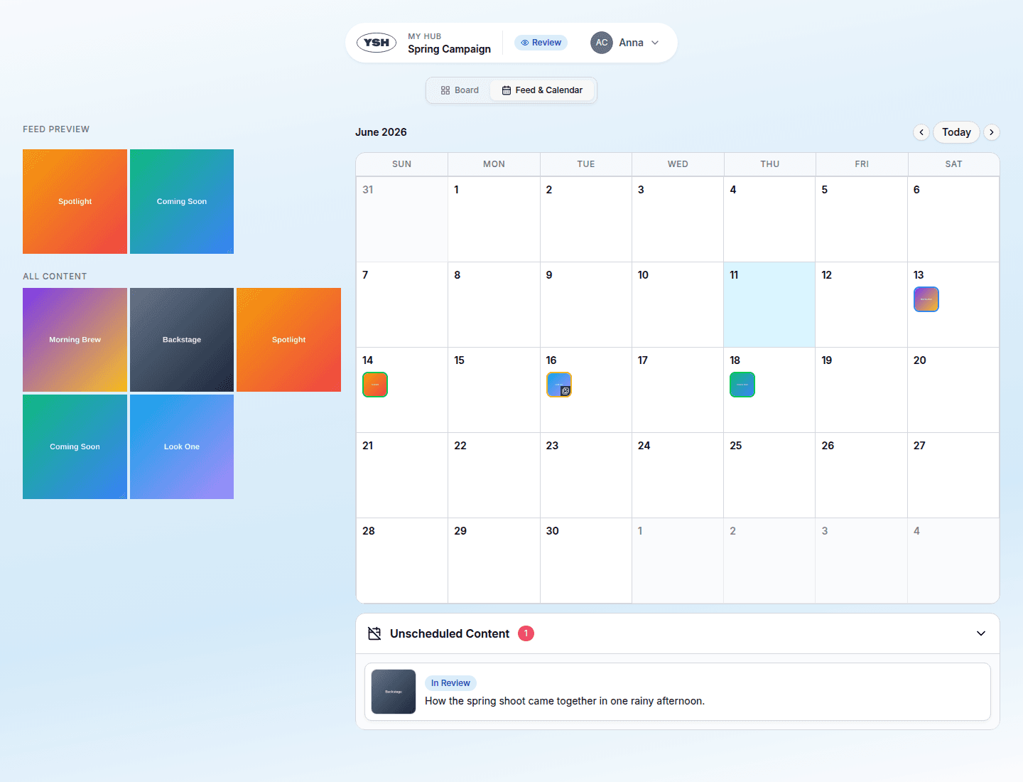 Review calendar and feed view